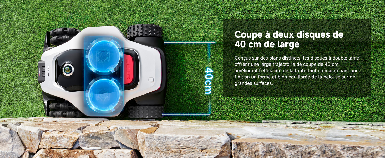 Scène de nature montrant une passerelle en bois ou une promenade en bois s'étendant à travers un feuillage vert ou un cadre forestier.