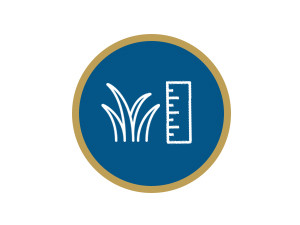Icône circulaire bleue avec bordure dorée, représentant un symbole stylisé d'herbe ou de plante et une échelle de mesure verticale ou une règle en blanc