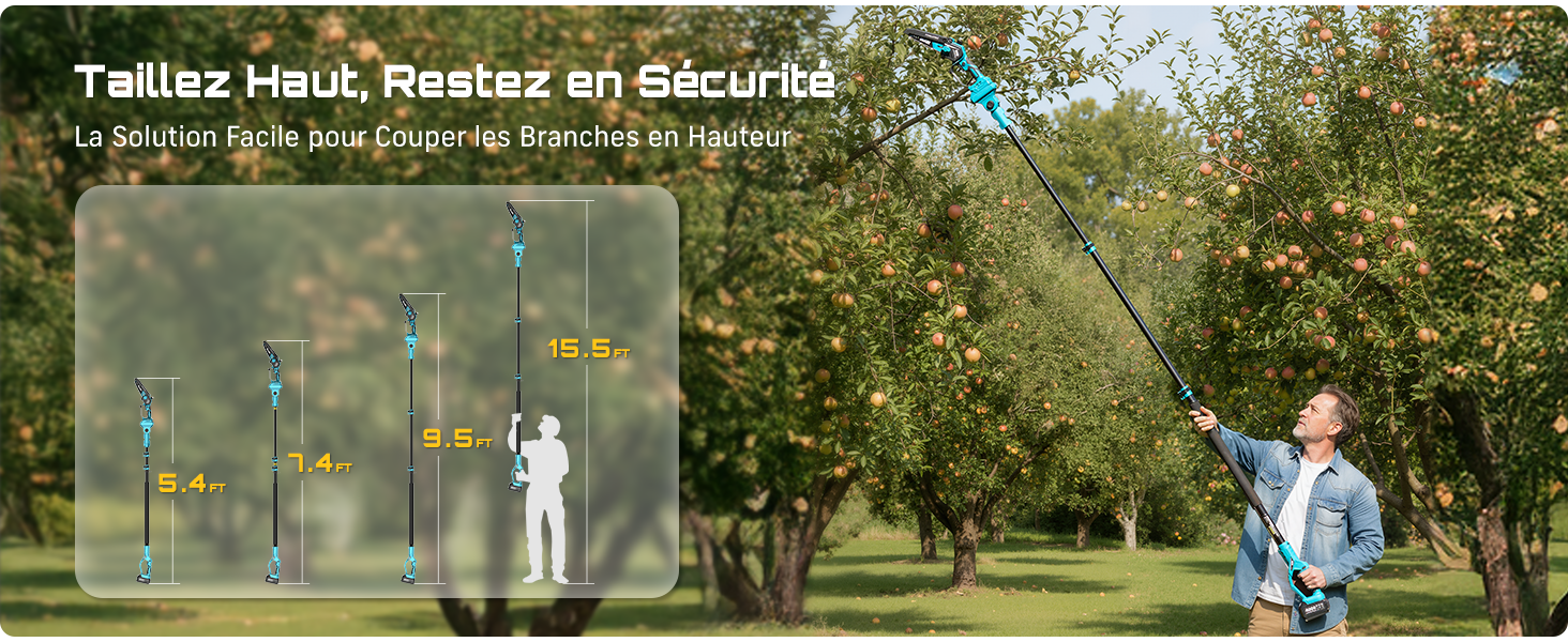 Le texte se lit comme suit : « Tailles tous, Restez en Sécurité ». Scène extérieure montrant des personnes dans un jardin ou un parc.