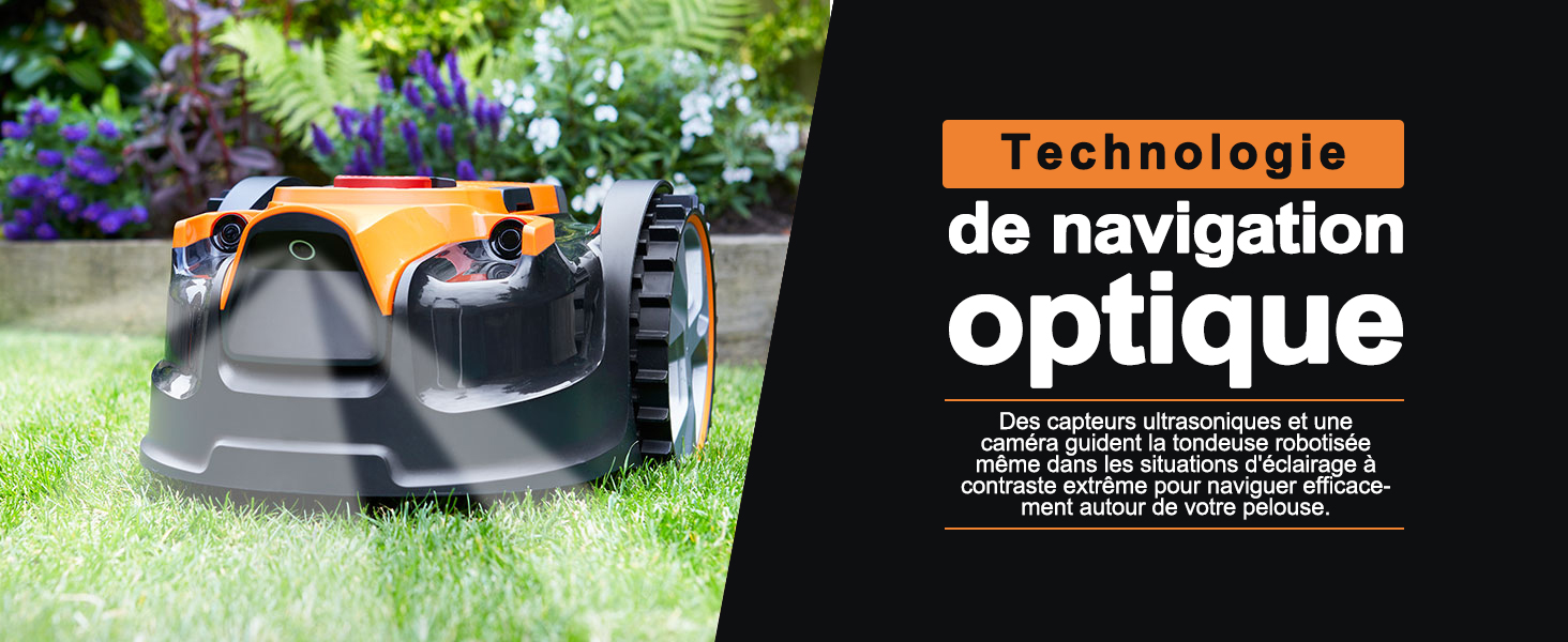 orange et noire dans un jardin avec des fleurs violettes en arrière-plan. Dispose d'une technologie de navigation optique.