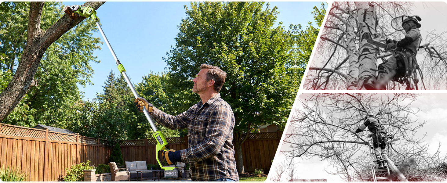 Image fractionnée montrant l'activité d'élagage des arbres - photo couleur à gauche et photo en noir et blanc à droite, illustrant les travaux d'entretien des arbres.