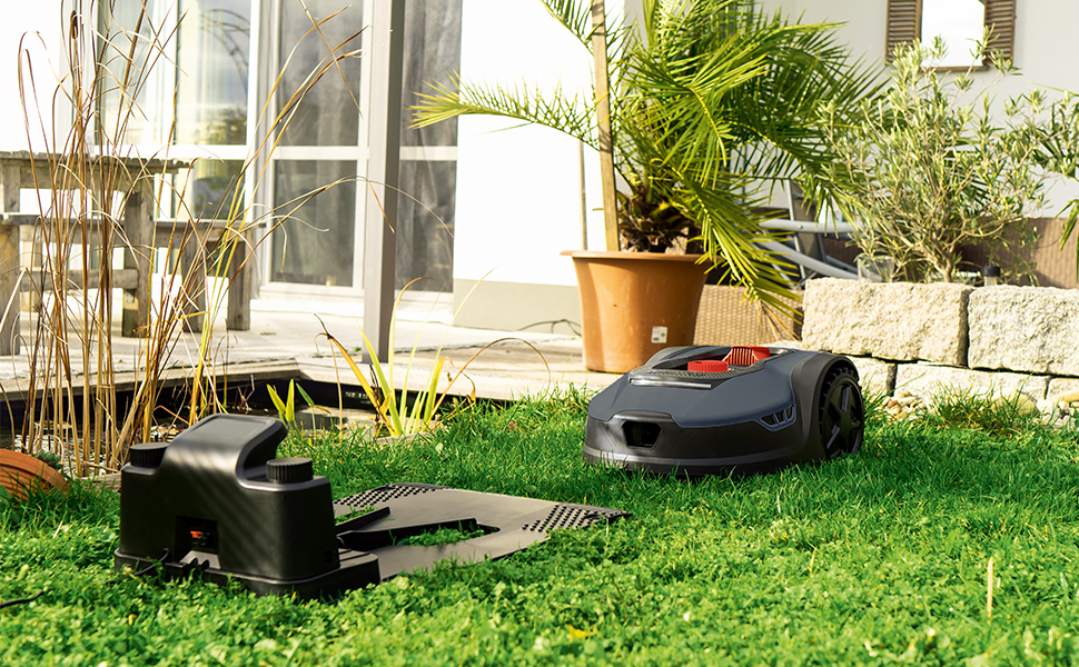sur gazon dans un jardin avec des plantes en pot et des fenêtres visibles en arrière-plan
