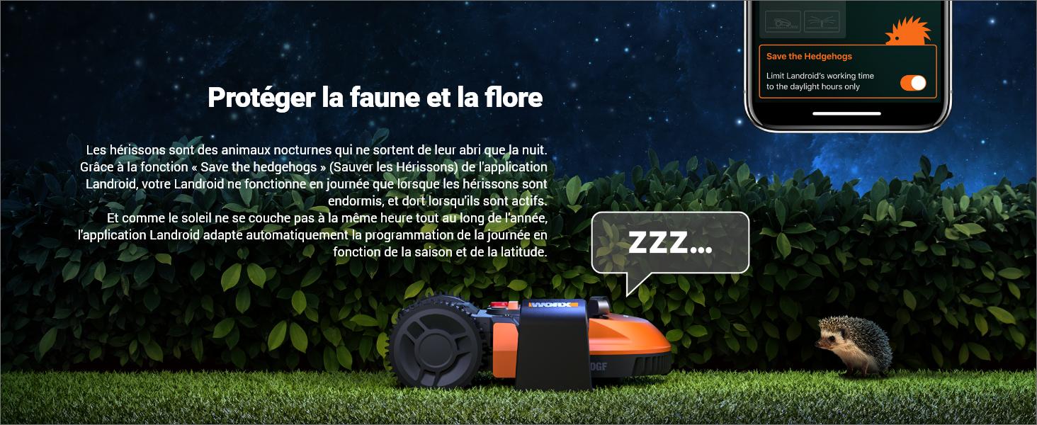 Protection de la faune et de la flore avec la tondeuse robot connectée LANDROID WORX