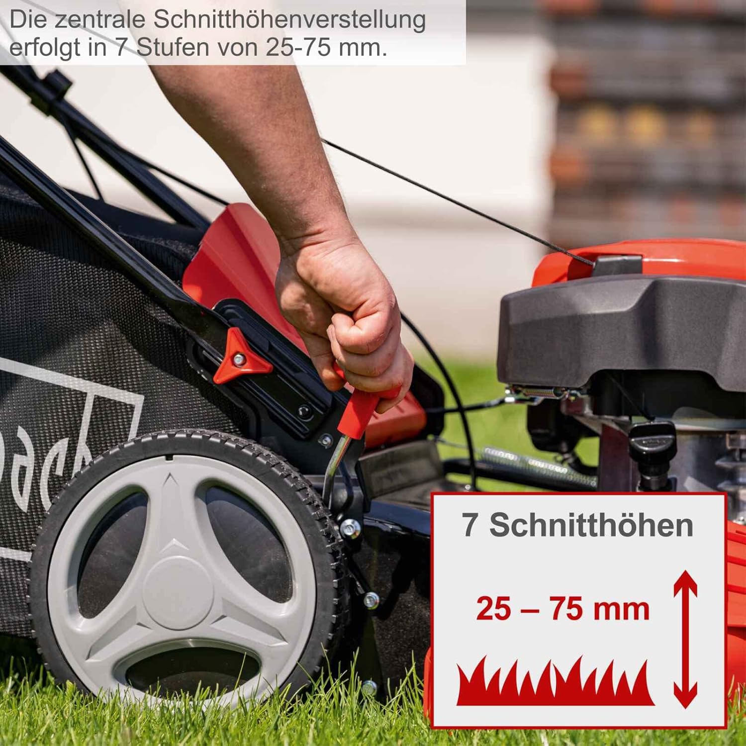 Scheppach - MS225-53 - tondeuse thermique autotractée 53 cm, 6 CV, réglage hauteur, mulching, 65L