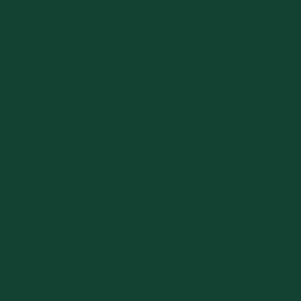 Abri de jardin en acier galvanisé avec toit incliné et solution de stockage de charbon – 277 x 93 x 179 cm – Design vert durable