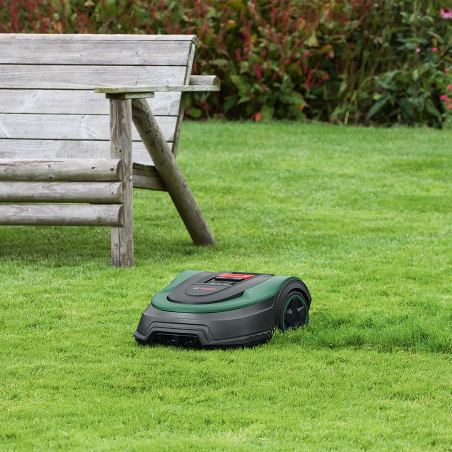 Bosch - Indego S 500 - 19 cm - Tonde jusqu'à 500m², batterie 18V