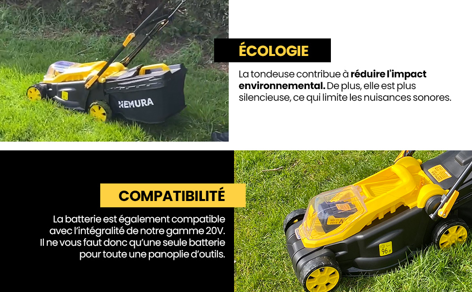 la tondeuse à gazon pour le gazon
