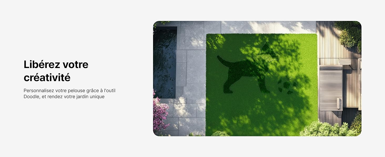 Le texte se lit comme suit : « Libérez votre créativité ». Série de photos prises en extérieur montrant des feuillages verts et des scènes naturelles.
