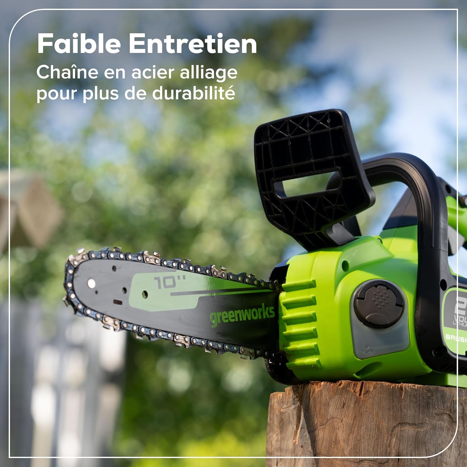 Greenworks - Scie à chaîne Brushless 25cm - 24V, batterie 2Ah, graissage auto