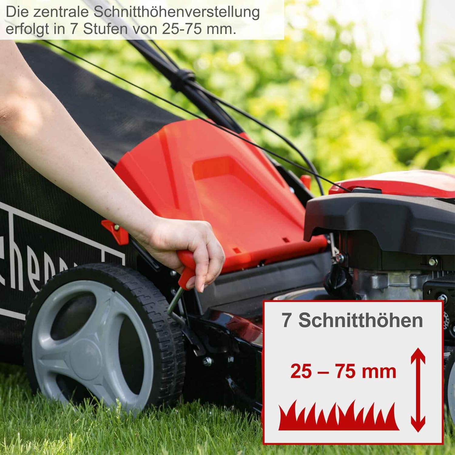 Scheppach - tondeuse thermique MS173-51 - 51cm - autotractée, mulching, 65L