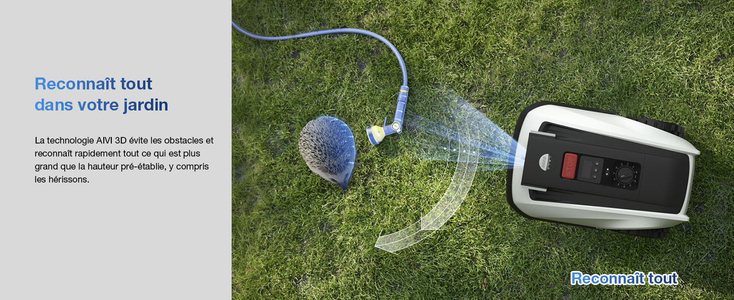 un hérisson est allongé sur l'herbe