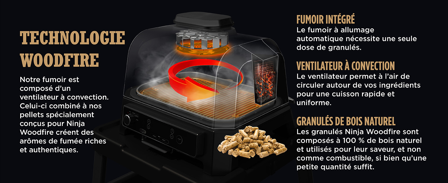 Ninja Woodfire four électrique extérieur