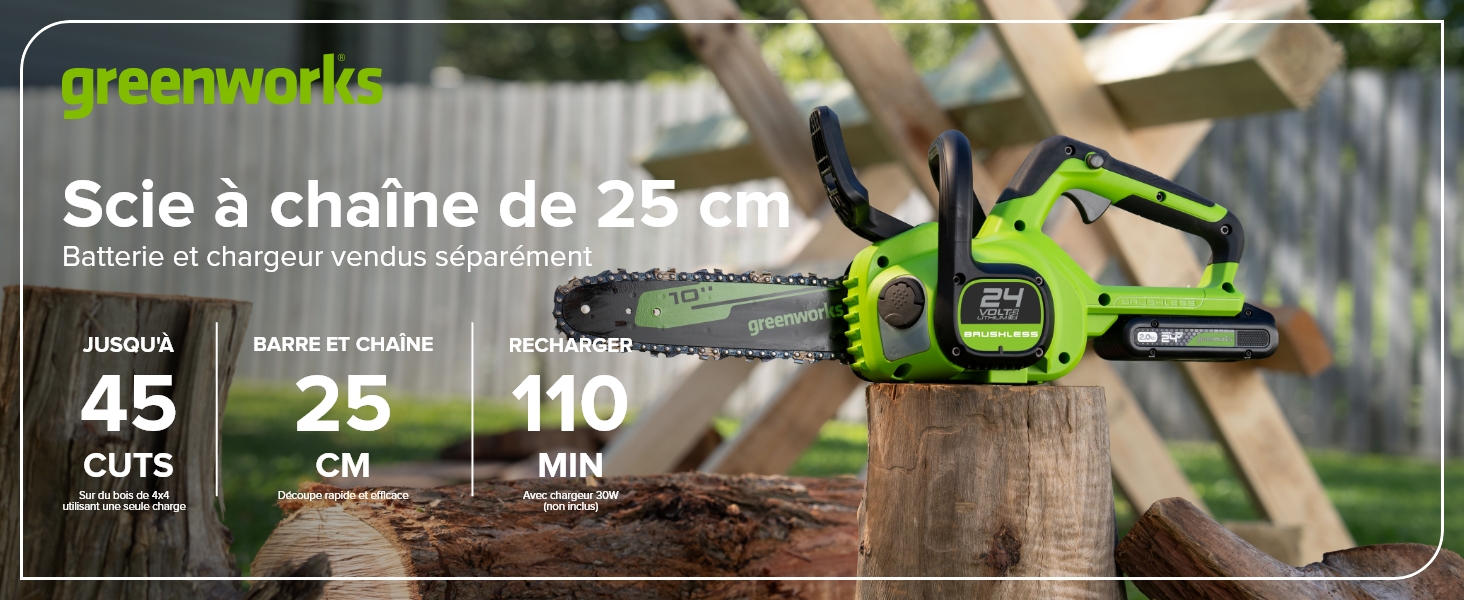Le texte se lit comme suit : « greenworks » et « Scie à chaîne de 25 cm ». Spécifications du produit indiquant les mesures « 45 cm » et « 110 ».