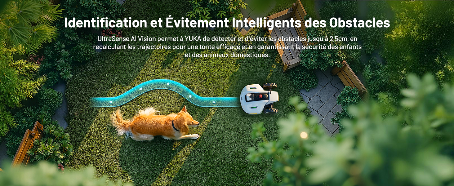 Vue aérienne d'une tondeuse à gazon robotisée qui contourne un chien sur l'herbe. La ligne bleue indique la trajectoire de la tondeuse, démontrant les capacités de détection et d'évitement des obstacles.