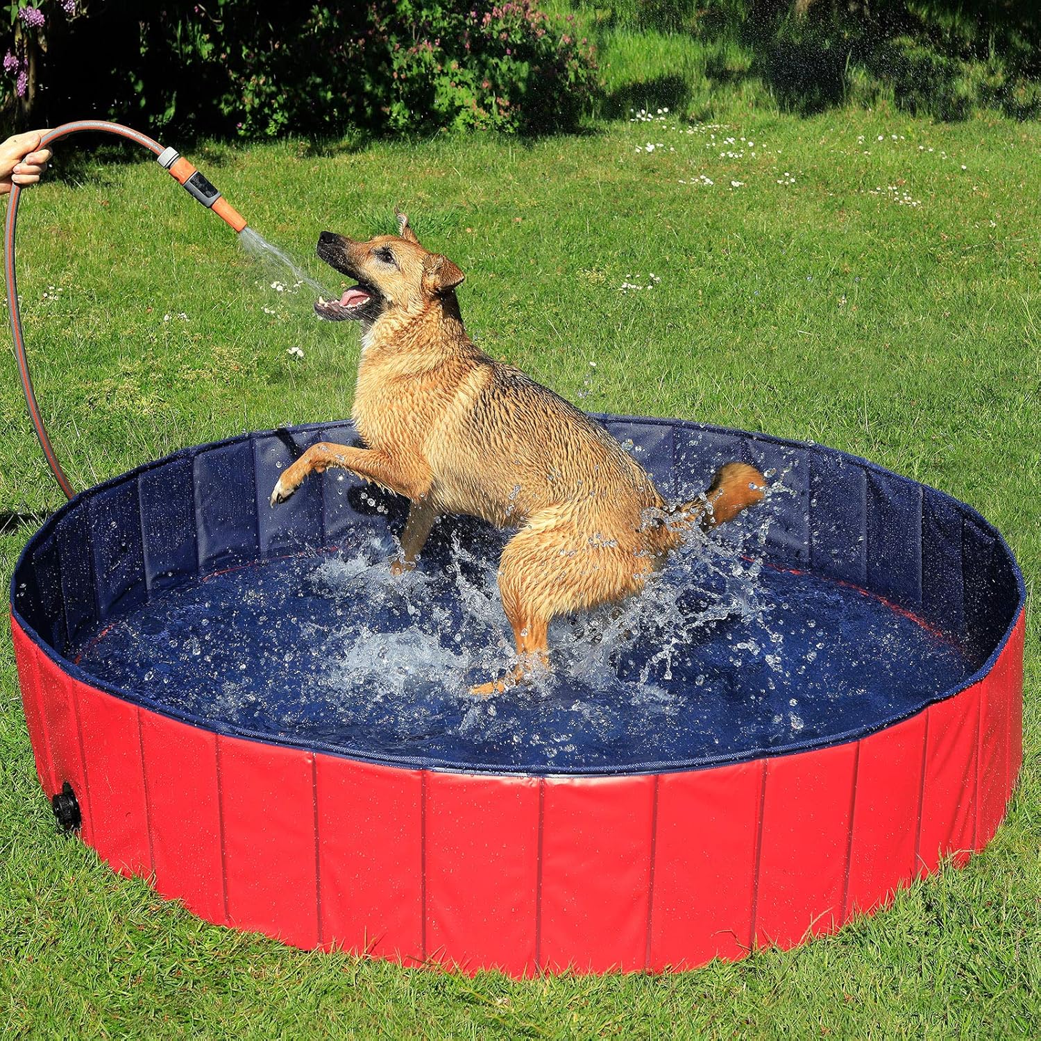 lionto - Piscine pliable Ø160x30cm - PVC antidérapant, bouchon vidange