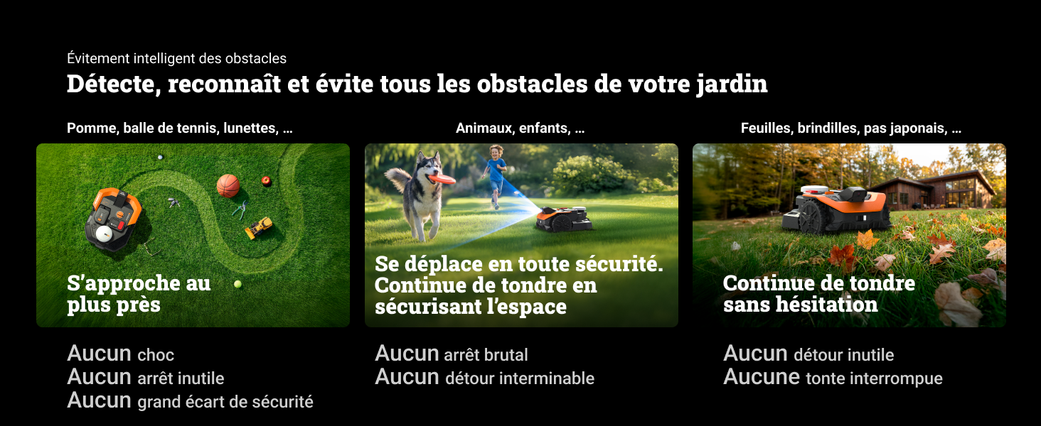 Le texte se lit « AUCUN » à plusieurs reprises. Série d'images de pelouses extérieures montrant des scénarios d'entretien de l'herbe et du jardin avec des paysages verdoyants.