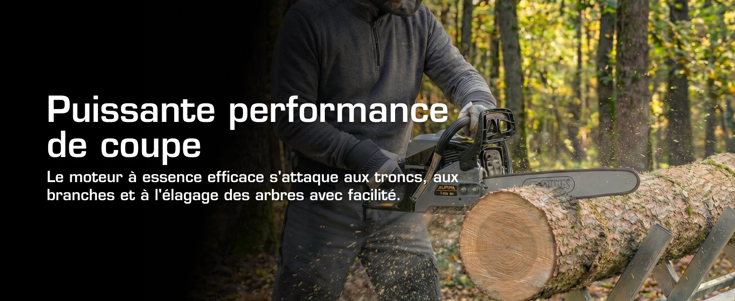 Le texte se lit comme suit : « Puissante performance de coupe ». L'image montre un outil électrique extérieur utilisé pour couper des branches d'arbres en milieu forestier.