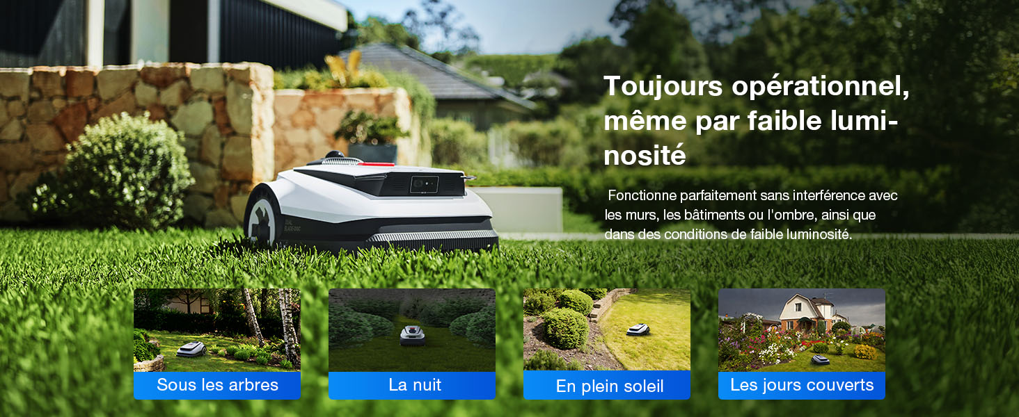 Les vues de paysages extérieurs montrant des champs verts et des paysages ruraux semblent être une démonstration d'une caméra ou d'une technologie de visualisation.