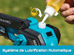 Le texte indique « Systeme de Lubrification Automatique ». Gros plan du système de lubrification automatique dont le composant bleu est entretenu avec un outil jaune.