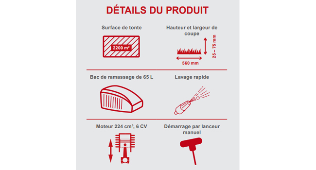 Le texte se lit comme suit : « LES DÉTAILS, CEPENDANT ». Schéma d'instructions présentant les détails du produit avec des illustrations linéaires simples et des explications textuelles.