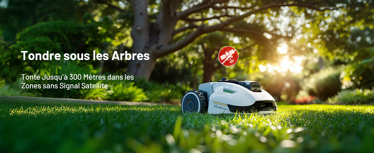 les meilleures tondeuses à gazon pour votre