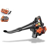 FUXTEC 40 Volt 2in1 Akku-Laubbläser/-Sauger Set FX-E2LBS-SET, leistungsstarker Laubhäcksler inkl....
