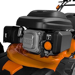 jukut 225cc boudech