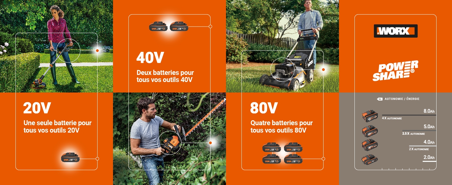 Batterie powershare interchangeable