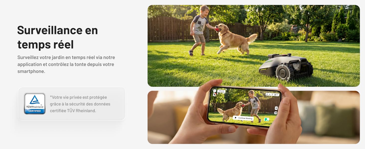 Le texte se lit comme suit : « Surveillance en temps réel ». Image divisée montrant un smartphone affichant un flux vidéo en direct d'une scène de jardin avec des chiens jouant.