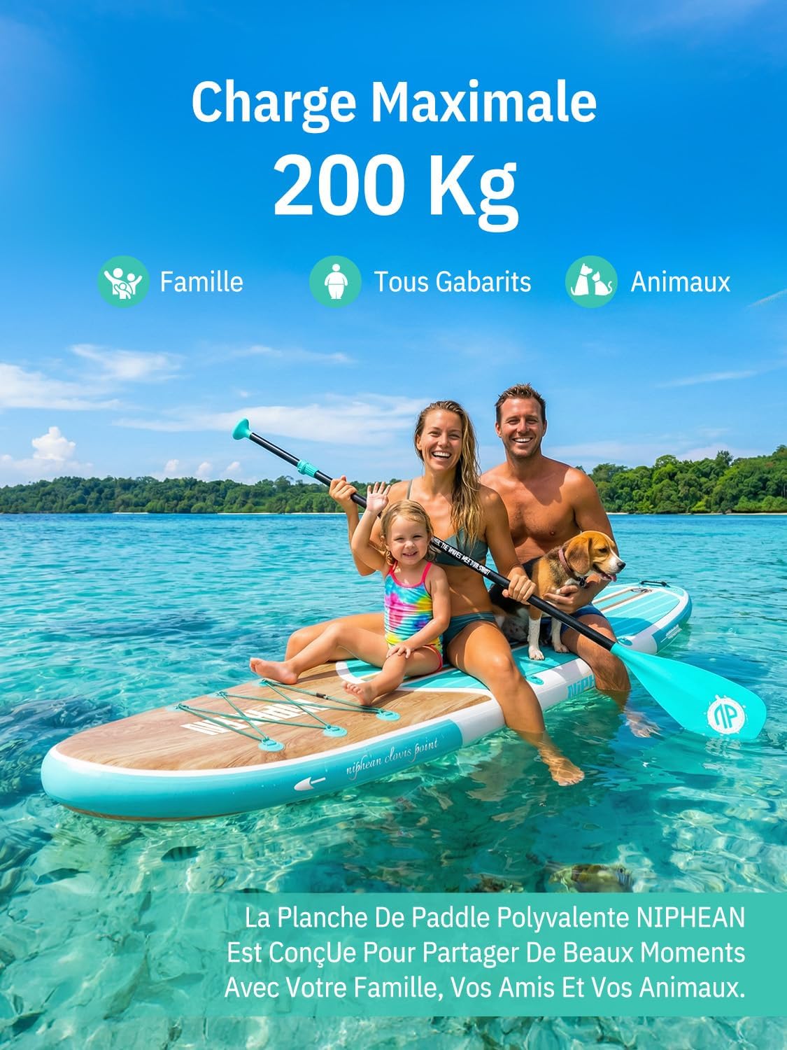 Niphean Paddle Gonflable Adulte avec Tous Les Accessoires, 320cm Planches de Stand Up Paddle Gonflables pour Tous Les Niveaux, Sup avec Capacité 200 kg pour 2 Personnes, Paddle Gonflable avec Siège