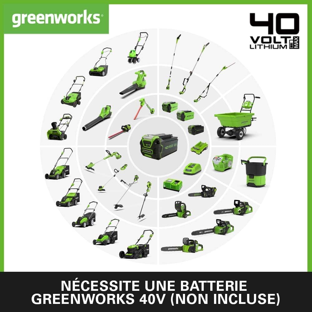 Greenworks G40PSF Élagueuse sur perche, Longueur des barres 8-Pouces (20 cm), Vitesse 8 m/s, 3,64 kg, Graisseur Automatique, Portée 2.58 m SANS Batterie 40V Ni Chargeur, Garantie 3 Ans
