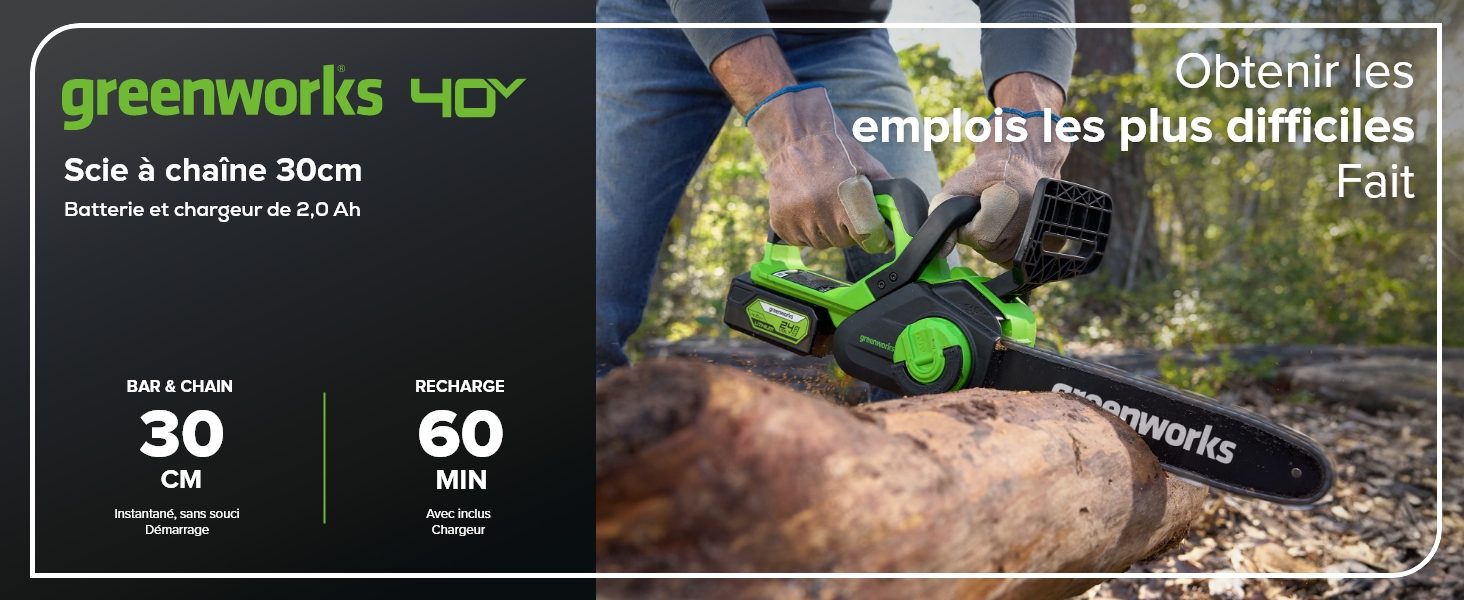 Greenworks Chainsaw 