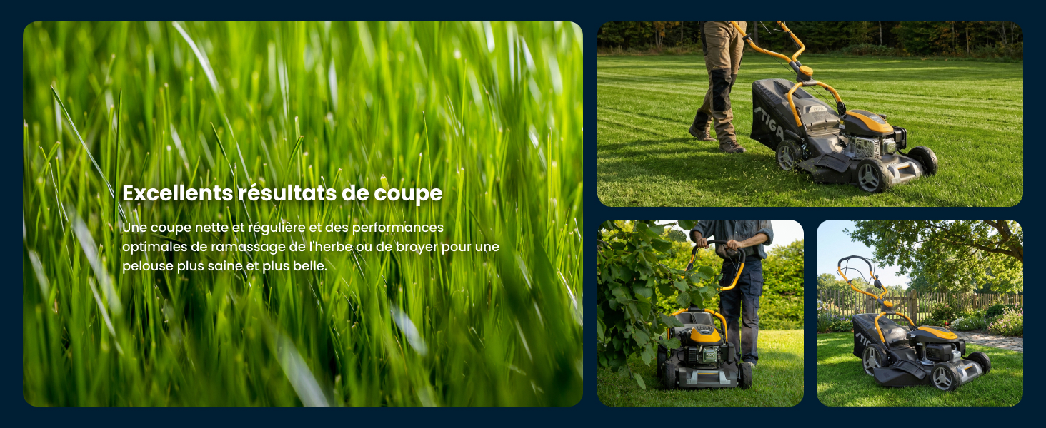 Série de photos d'activités de plein air montrant des personnes pratiquant des activités récréatives sur des champs gazonnés, avec de l'herbe verte éclatante en arrière-plan.