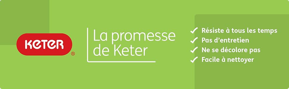 promise