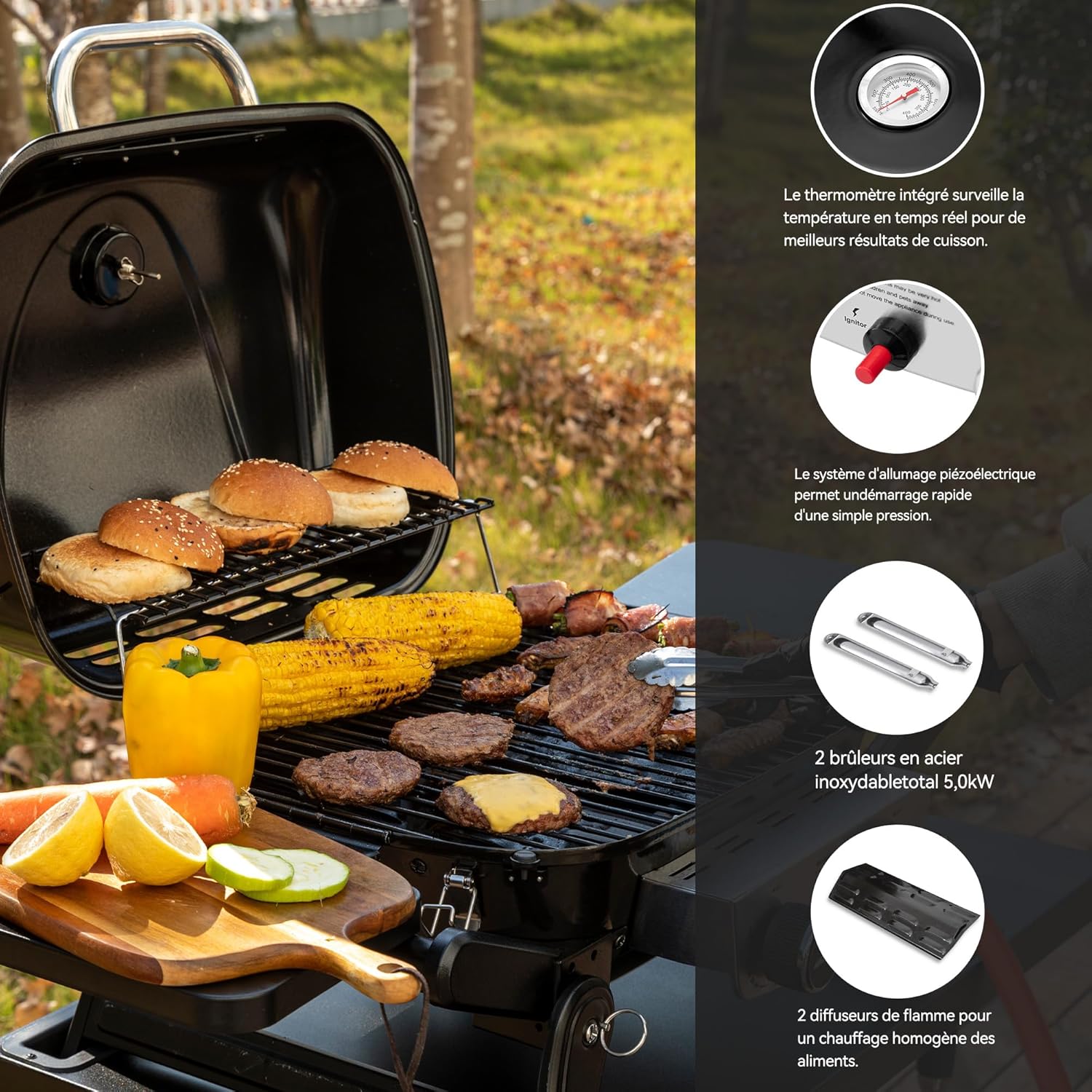 Royal Gourmet - Barbecue Gaz 2 brûleurs - 48x37 cm - tables pliables, 5kW