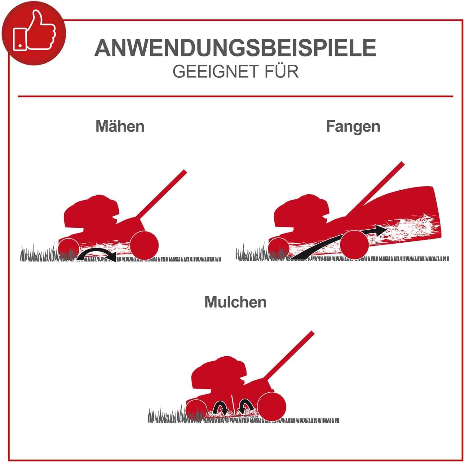 Scheppach - tondeuse thermique MS173-51 - 51cm - autotractée, mulching, 65L